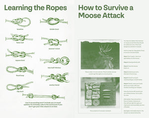 Varyer + Back Forty Cannabis: National Sparks Department Field Guide